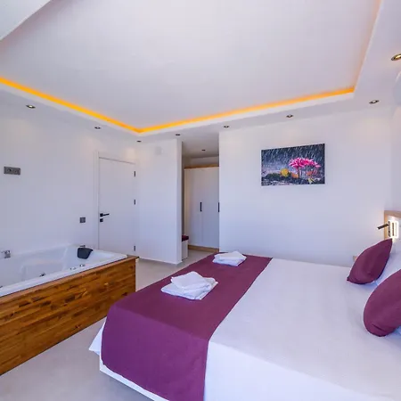 Villa Premium1